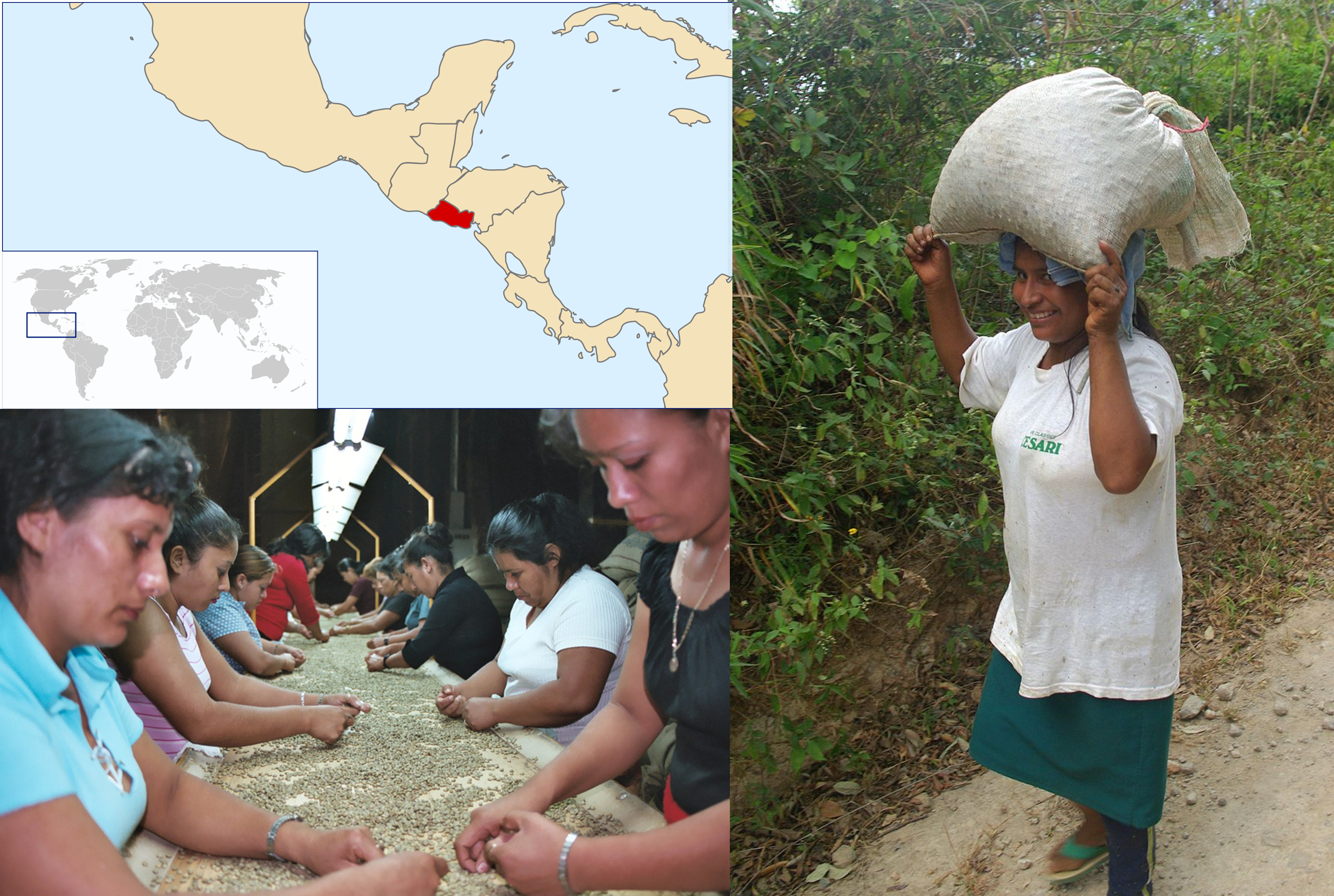 elsalvador_farmarka1